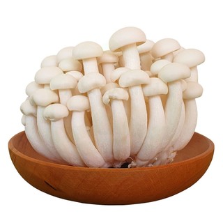 [Chỉ Giao HCM] Nấm Linh Chi Trắng - 125g
