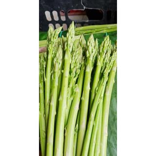 [Chỉ Giao HCM] Măng Tây - 250g