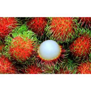 [Chỉ Giao HCM] Chôm Chôm Thái - 500g