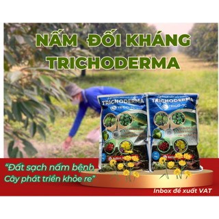 Phân Bón Hữu Cơ Vi Sinh Trichoderma Sun (Tricho-TC) - Nấm đối kháng vi sinh vật gây hại cây trồng