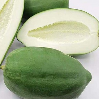 [Chỉ Giao HCM] Đu đủ xanh - trái 800g