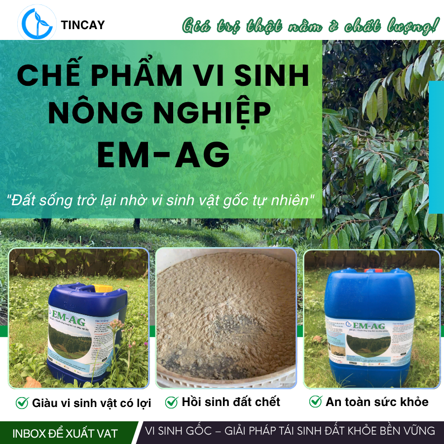 Chế Phẩm Vi Sinh EM-AG (EM Gốc Chuyên Dùng Trong Nông Nghiệp) cung cấp vi sinh vật,tưới gốc,phun lá