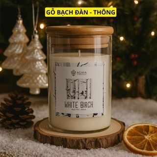  Nến Thơm hương gỗ AGAYA Candle Cup hương bạch đàn,thông,đậu tonka,vani - Mùi WHITE BIRCH 