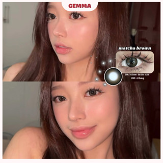 Kính áp tròng Hàn Quốc GEMMA màu nâu Matcha Brown 14.3mm (Full 0-6 độ) (Ảnh thật shop tự chụp)