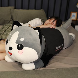 gấu bông chó ngáo mèo ngáo. chó husky chó mèo ngáo siêu to 1m 1m2 1m6