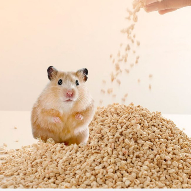 bán sỉ cùi ngô cùi bắp lõi ngô lõi bắp 5kg 10kg 20kg lót chuồng rồng úc, sóc bay, rùa, hamster, nhím