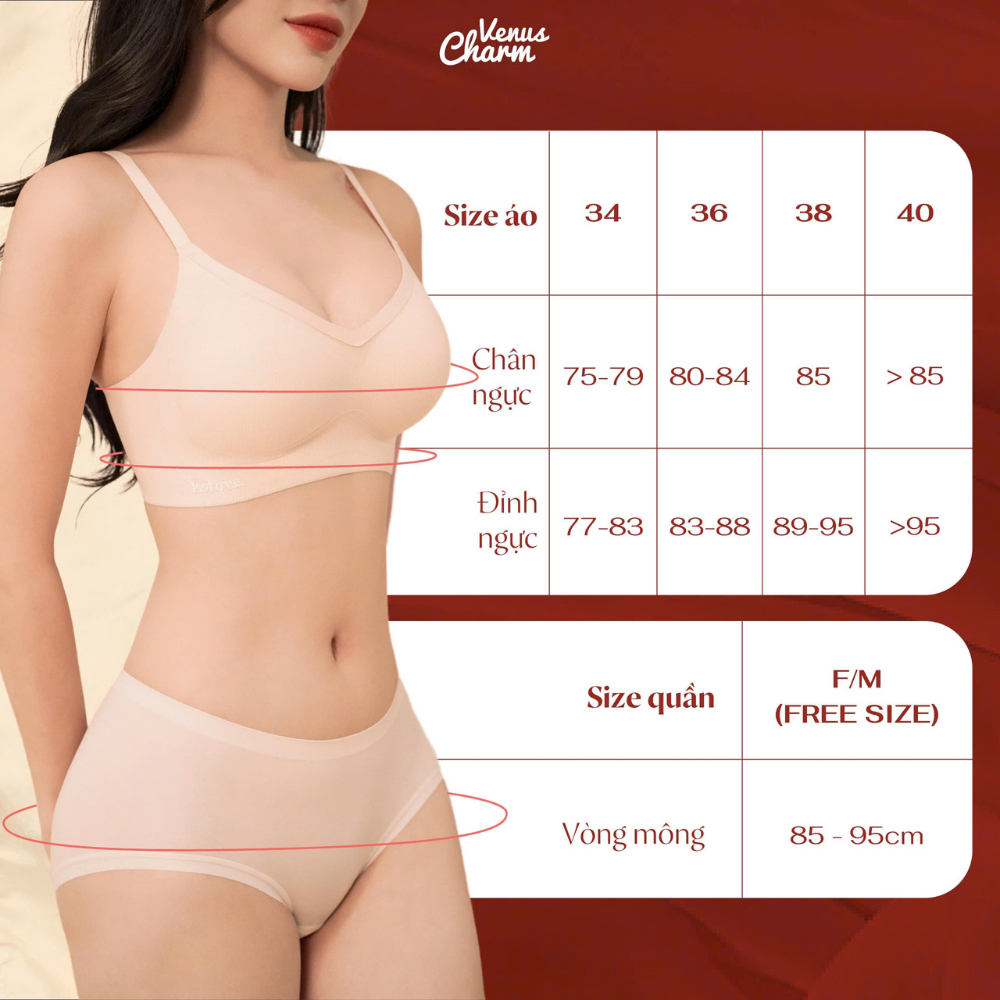 Combo 3 áo lót lười eMfit Venus Charm không gọng, không đường viền, đệm mỏng nâng đẩy siêu nhẹ - 0676 | BigBuy360 - bigbuy360.vn