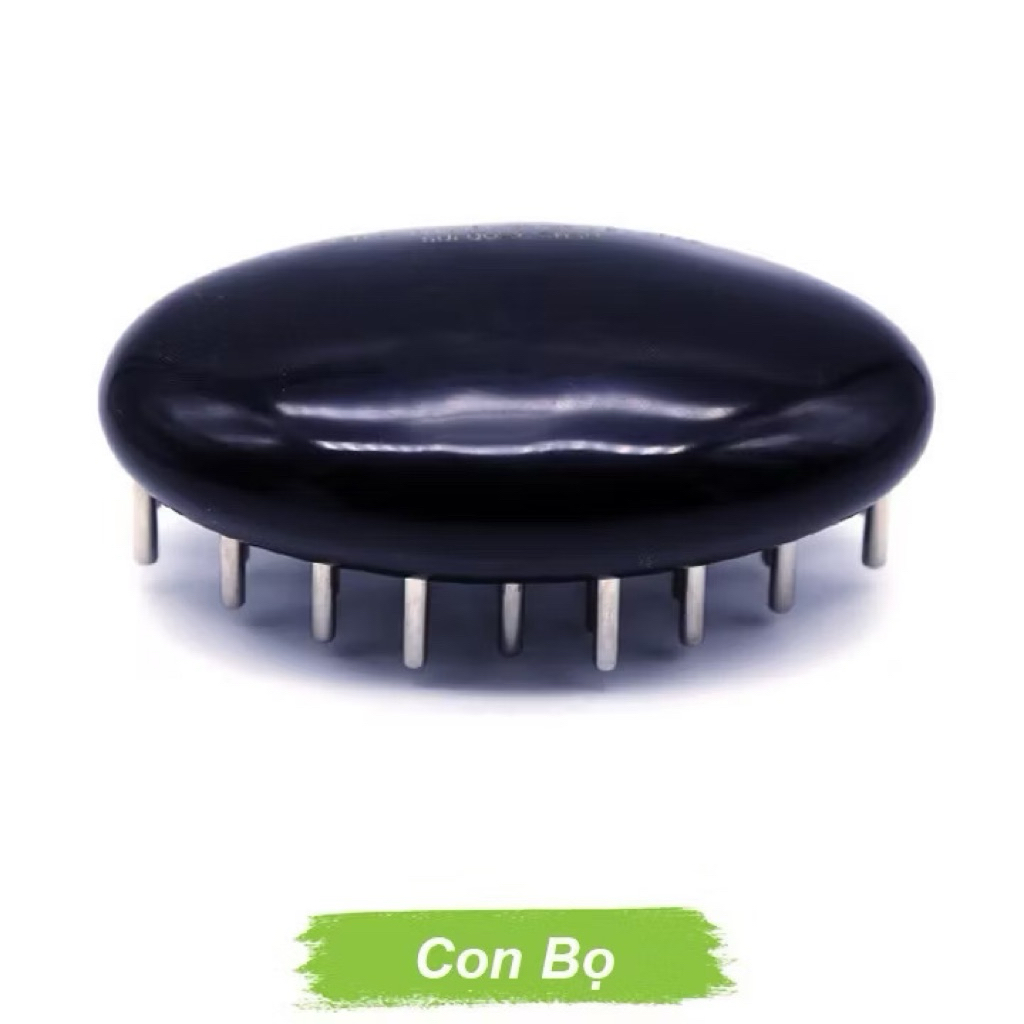 Con Bọ Lớn Diện Chẩn