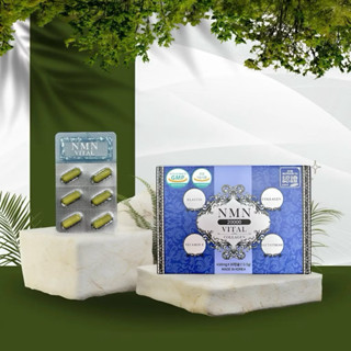 Viên uống NMN Vital Collagen Hàn quốc 20000 SJ24384001