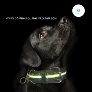 (Phản Quang 5P) Vòng cổ Phản Quang 4 Lớp 5 Phân cho Pet từ 30-50KG - Vải Dày Dặn Chắc Chắn