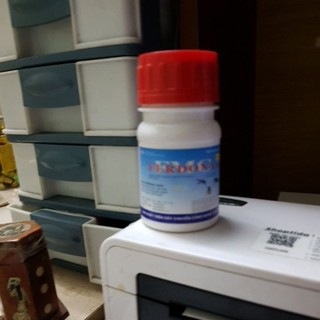 Thuốc muỗi FERDONA (100ml) Dangj pha nước phun