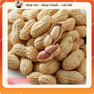  Lạc Rang Nguyên Vỏ Tẩm Vị Lạc Củ Tẩm Vị Nội Địa Đậu Phộng Nguyên Vỏ Tẩm Vị 