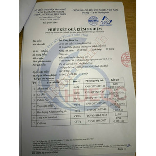 Trà cung Đình ĐỨC PHƯỢNG G8 _ Huế