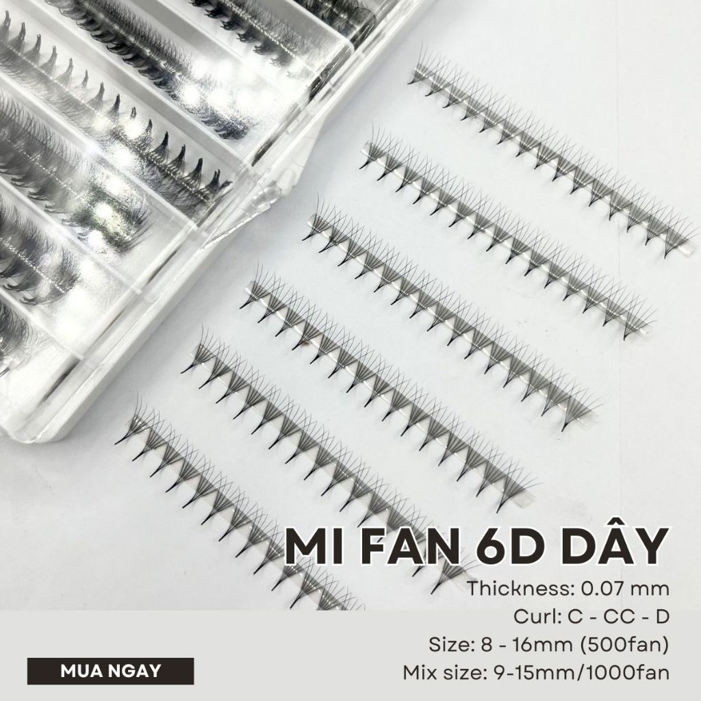 Mi fan sẵn 6D dây dày 0.07 500fan/box cong C-CC-D, mi fan volume, Lông Mi Nhân Tạo - Thúy Hà