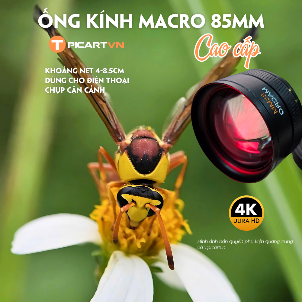 Ống kính, lens macro 85mm cao cấp T PICARTVN, chụp cận cảnh sắc nét, ren 17mm