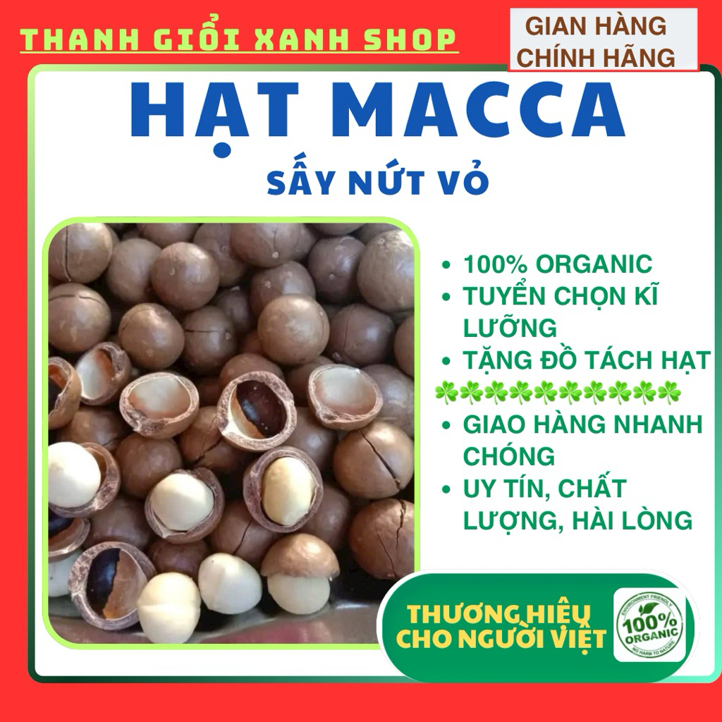 [ GIÁ SỈ] 1kg HẠT MACCA sấy nứt vỏ đắk lắk - hạt mắc ca nứt vỏ size trung