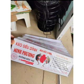  Tắm keo dinh chuột CHIẾC Keo dính chuột Hàng loại 1 nhiều keo siêu dính siêu chắc 