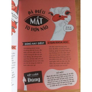 Sách - Đúng hay điêu (10 tập)