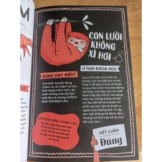 Sách - Đúng hay điêu (10 tập)