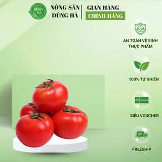 Cà Chua Beef – Thịt Dày, Ngọt Mọng – Rau Củ Tươi Sạch Dũng Hà