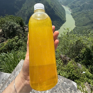 Mật ong bạc hà nguyên chất Hà Giang, mật ong hoa bạc hà nguyên chất Hà Giang tặng kèm bột tam thất khi mua 500ml trở lên
