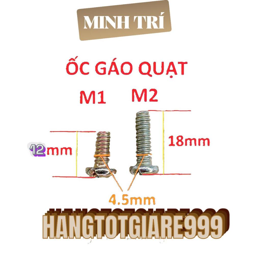 combo 20 con ốc gáo quạt-ngắn và dài