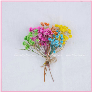 Bó babi mini deco thiệp , hoa khô trang trí vintage