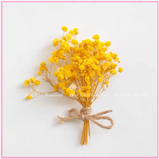 Bó babi mini deco thiệp , hoa khô trang trí vintage