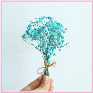 Bó babi mini deco thiệp , hoa khô trang trí vintage