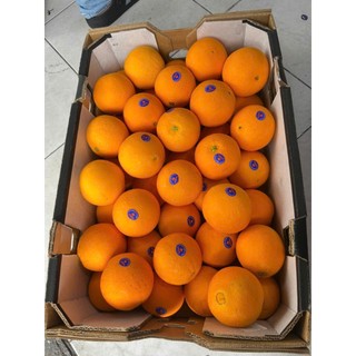 ( JENNYFRUIT) ( HỎA TỐC) CAM ÚC  ruột vàng 1kg/3 trái