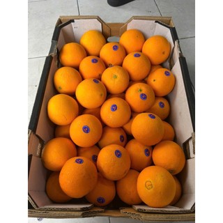 ( JENNYFRUIT) ( HỎA TỐC) CAM ÚC  ruột vàng 1kg/3 trái