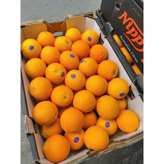 ( JENNYFRUIT) ( HỎA TỐC) CAM ÚC  ruột vàng 1kg/3 trái