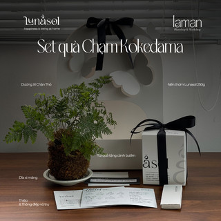   Set quà tặng đặc biệt  NẾN THƠM LUNASOL 250G x KOKEDAMA - Tặng kèm thông điệp vũ trụ ngẫu nhiên 