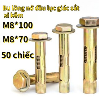 10~40 Cái Tắc Kê Nở/Tắc Ke/Tắc Kê Bê Tông/Tắc Kê Inox 304/Tắc Kê Nở/Tắc Kê Sắt Chịu Lực/Tắc Kê Đạn/Tắt Kê Sắt