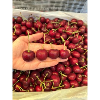 [ Chỉ Giao HCM ] Cherry Mỹ Ngọt Thanh- HỘP 1KG