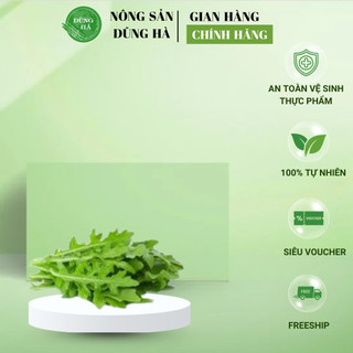 Xà lách Rocket Đà Lạt tươi sạch – Rau ăn sống cao cấp Dũng Hà