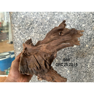 Gỗ lũa mini decor, setup hồ cá, terrarium ,...HÀNG TUYỂN CHỌN
