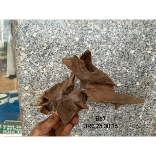 Gỗ lũa mini decor, setup hồ cá, terrarium ,...HÀNG TUYỂN CHỌN
