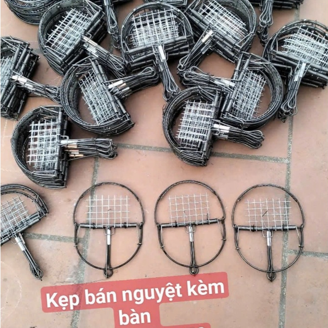 (combo 10 cái) Bẫy chuột bẫy chim không răng và có răng, bẫy chuột hình bán nguyệt nhạy loại lớn 14cm*19cm