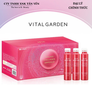   HÀNG CÔNG TY  Thực phẩm bổ sung Vital Garden Hanami Collagen Ampoule  25ml x 28ống  chai   hộp  