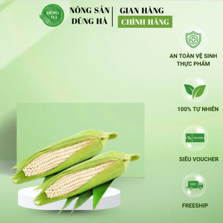 Ngô Nếp Tươi Ăn Liền – Hạt Dẻo Ngọt – Rau Củ Quả Sạch Dũng Hà