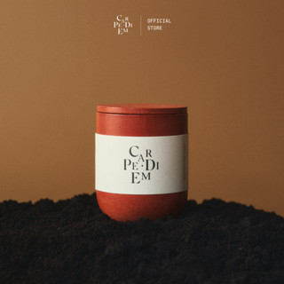 BST nến thơm thủ công Car pe di em cao cấp với hũ xi măng phù hợp làm quà tặng lịch sự