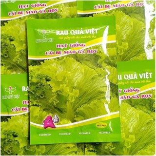 Hạt giống cải bẹ mào gà, bẹ to, lá dày chịu mưa, chịu nhiệt tốt - 20g