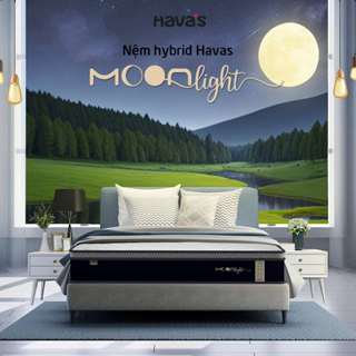 Nệm Lò xo túi êm ái 2 độ cứng Havas Moonlight 23cm – Kết hợp foam SILKFOAMTM cao cấp, Bảo hành 10 năm