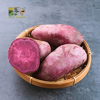 1 Thùng 8Kg Khoai Lang Tím Đà Lạt Eco FloFo Đạt Chuẩn VietGAP (Chỉ Bán Hàng Loại A+ Được Tuyển Chọn Để Xuất Khẩu)