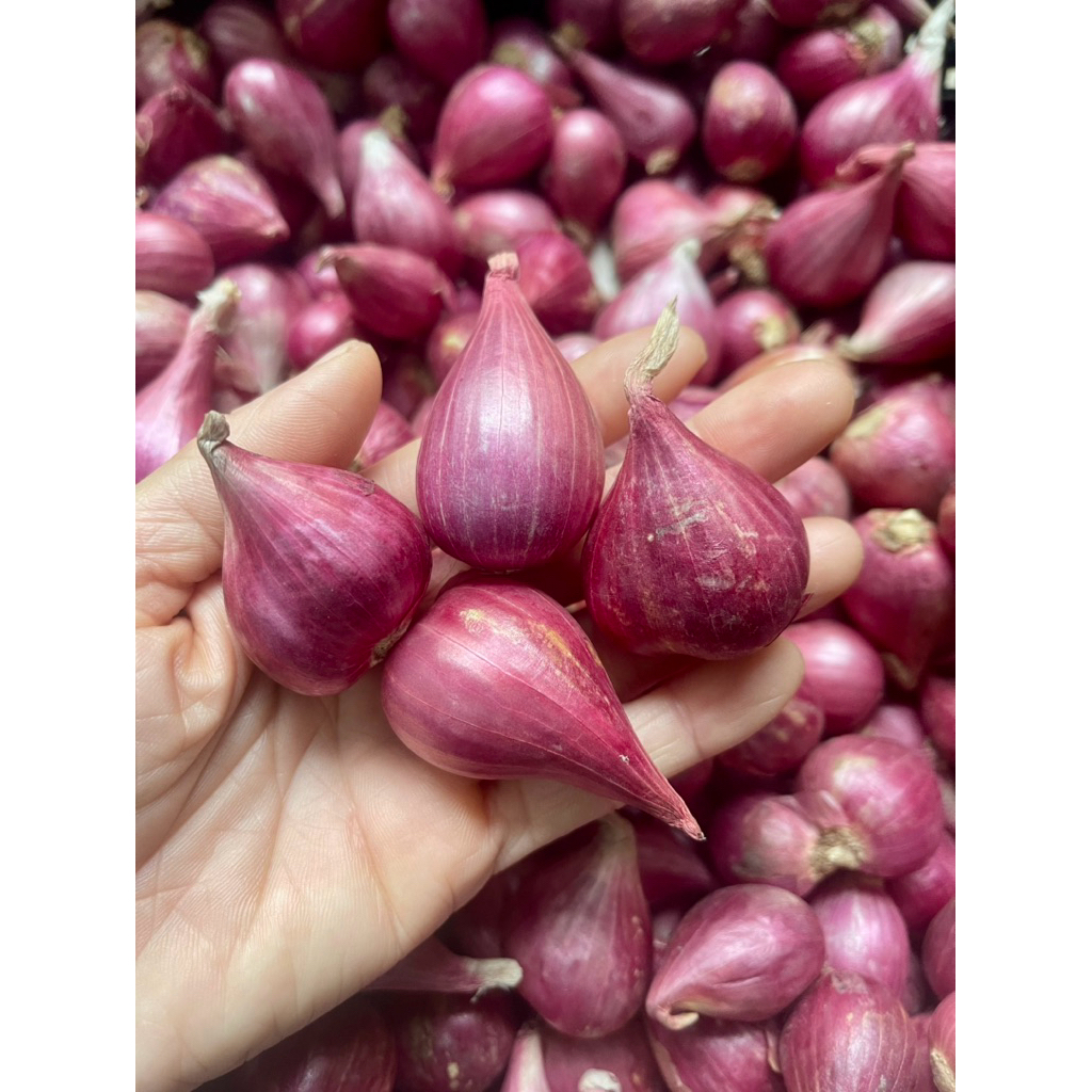 Hành tím Lý Sơn/ Hành tím Vĩnh Châu / củ to đẹp/ không hư củ nào/túi lưới tiện dụng