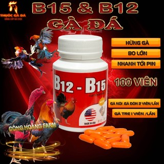 B12B15 ĐỎ DINH DƯỠNG NUÔI GÀ TĂNG BO,TĂNG NƯỚC MÁU,HỪNG GÀ