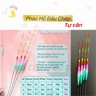  Phao Hố Đấu Chép Quán Quân thiết kế bầu ngược Tự Cân chuyên Chép Rô  Cá Nhát cũ 