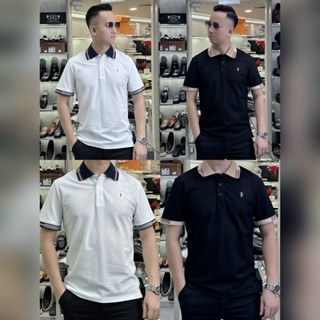 ÁO POLO NAM - HÀNG CAO CẤP - ĐIỂM NHẤN CỔ BO TAY SIÊU XỊN  [Hoả Tốc] APL-0268