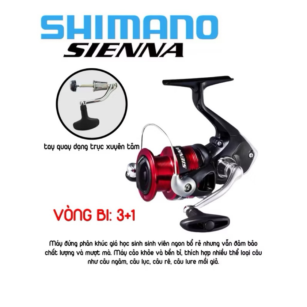Máy câu đứng Shimano Sienna – Chính hãng Shimano, hiệu năng vượt trội